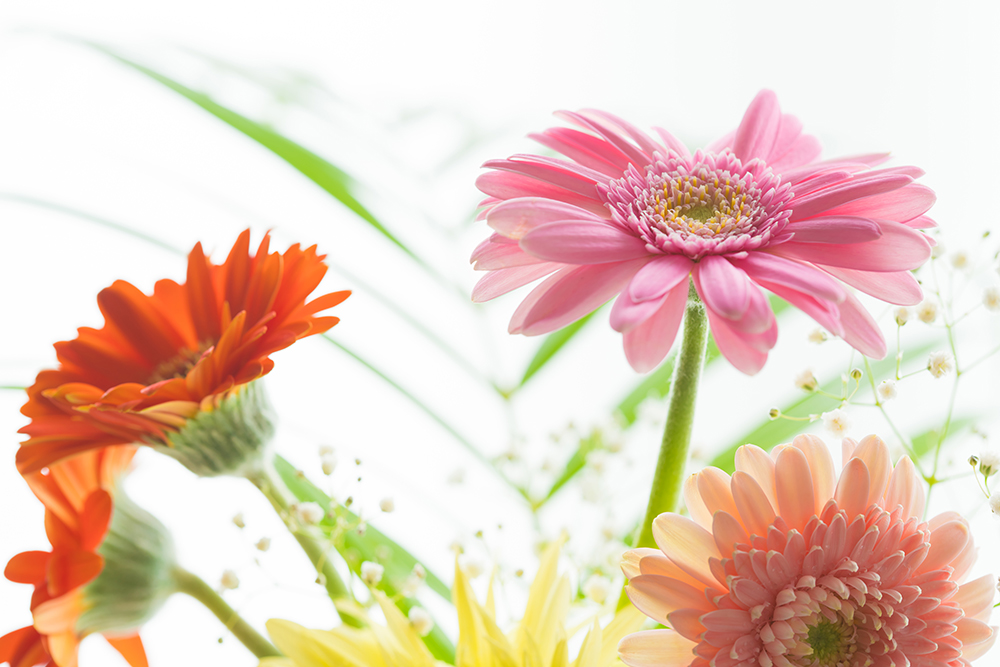 画像:資格取得で輝く