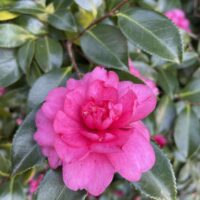 信頼こそが最高の資産。選ばれ続ける人が大切にしている「心の〇〇」とは…